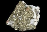 Pyrite On Calcite - El Hammam Mine, Morocco #80741-1